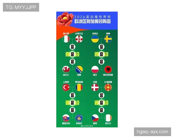 奥地利队冲击2026美加墨世界杯：晋级前景与阵容分析